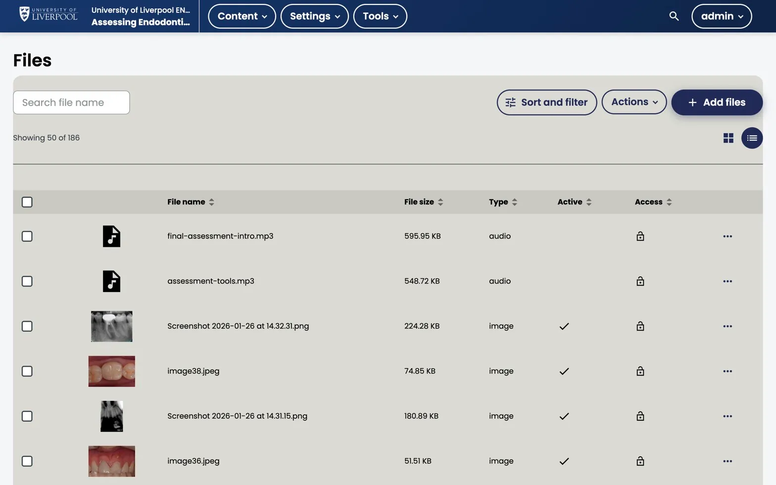 Studio Files view showing audio, image, and other course assets